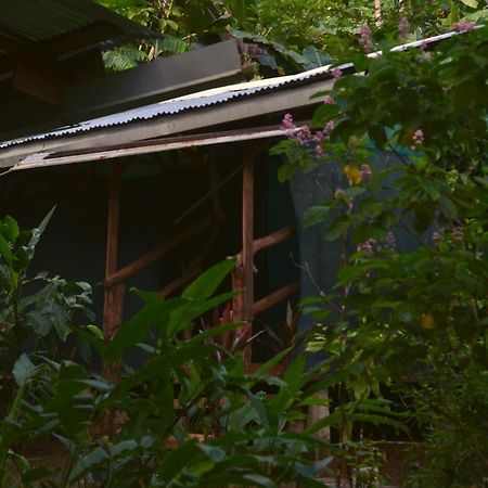 فندق Corcovado Guide House Barrigones المظهر الخارجي الصورة