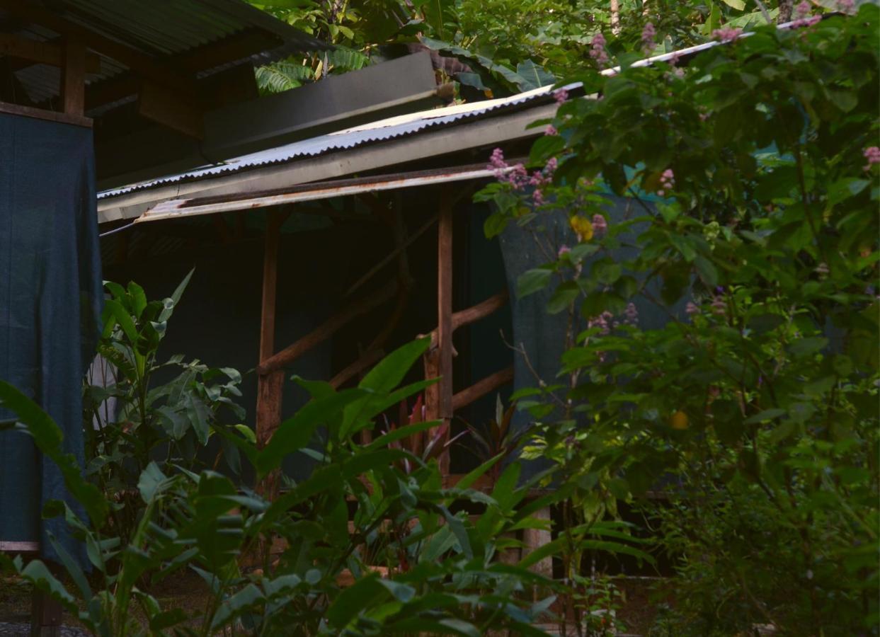 فندق Corcovado Guide House Barrigones المظهر الخارجي الصورة