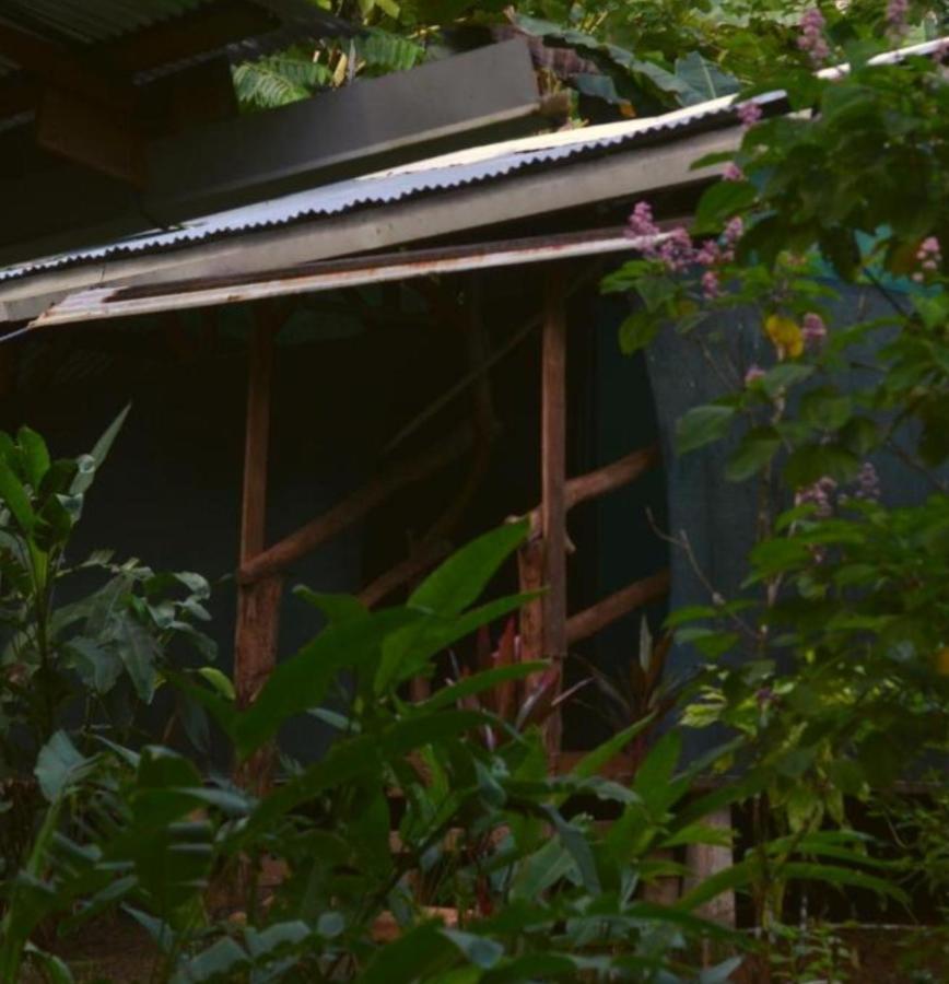 فندق Corcovado Guide House Barrigones المظهر الخارجي الصورة
